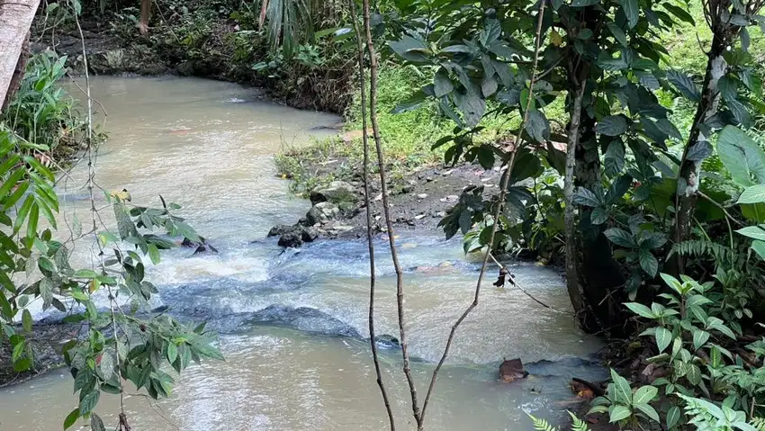 Jual tanah view gunung los sungai cocok untuk kebun durian di tabanan