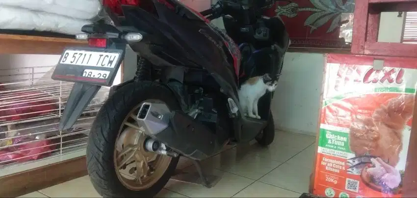Vario 150 CBS keyless 2019