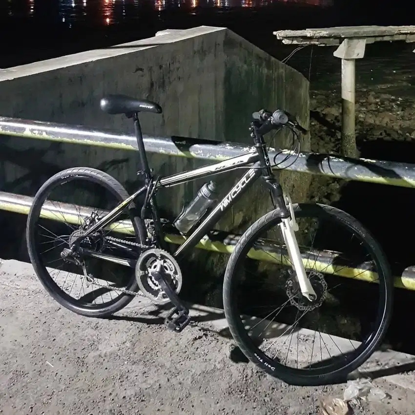 Wimcycle Roadchamp 26