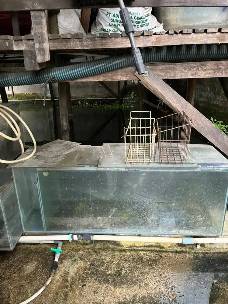 Di jual cepat aquarium