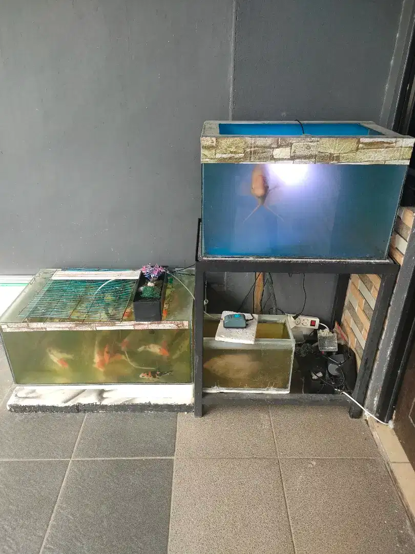 Jual Aquarium Borongan
