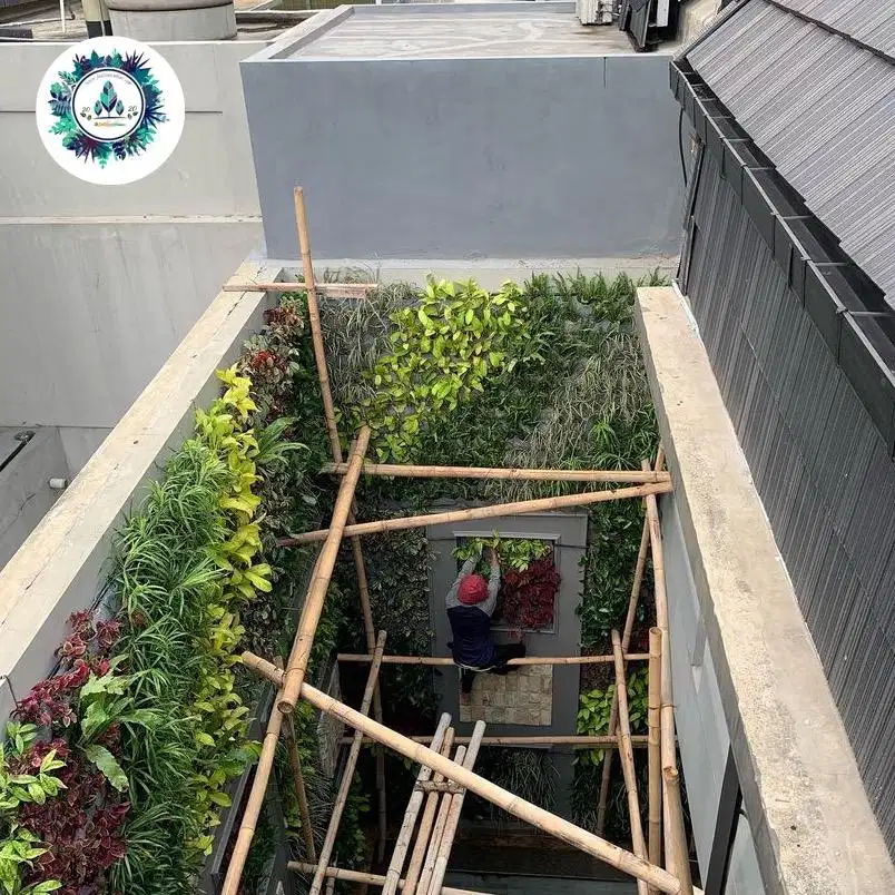 Tukang Taman Vertica garden dengan tanaman hidup