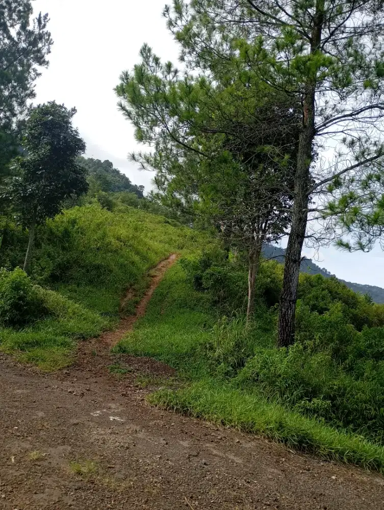 Tanah untuk Perumahan, Peternakan, Sarana Pendidikan dan Perkebunan