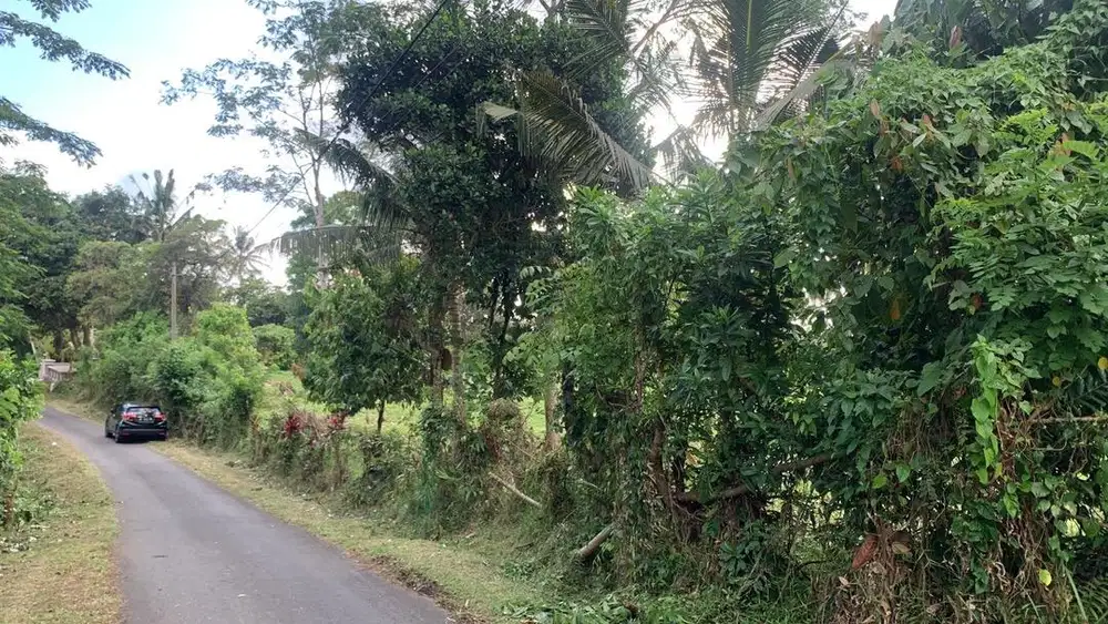 Dijual Tanah Perkebunan cocok untuk villa gudang dan investasi