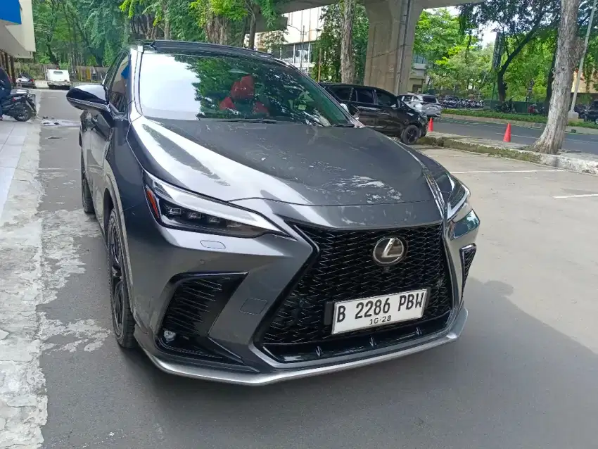 Lexus NX350H 2023 ( Nx350 )