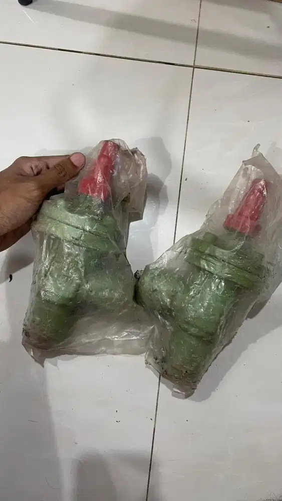 STOP & CHECK VALVE  25A (1INCH)  HAESUNG KOREA