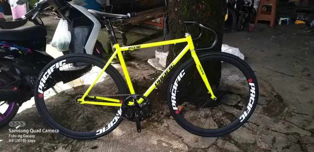 Sepeda fixie pacifik