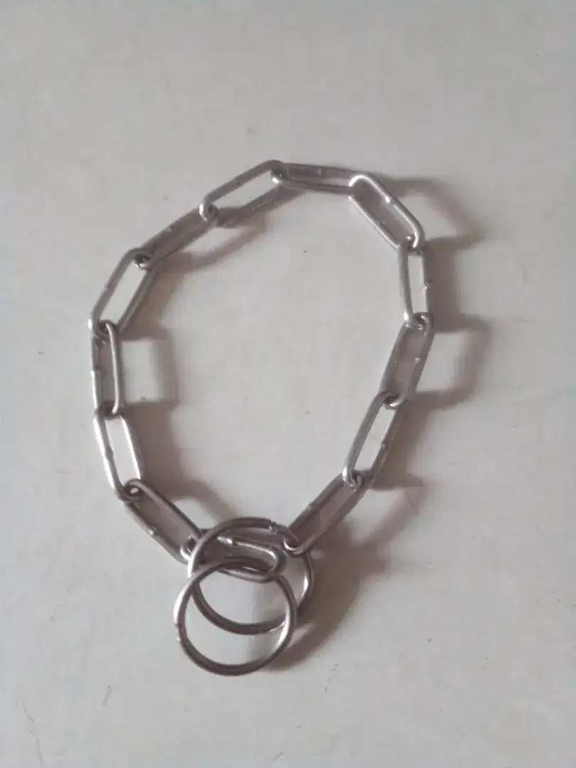 Kalung Anjing keren
