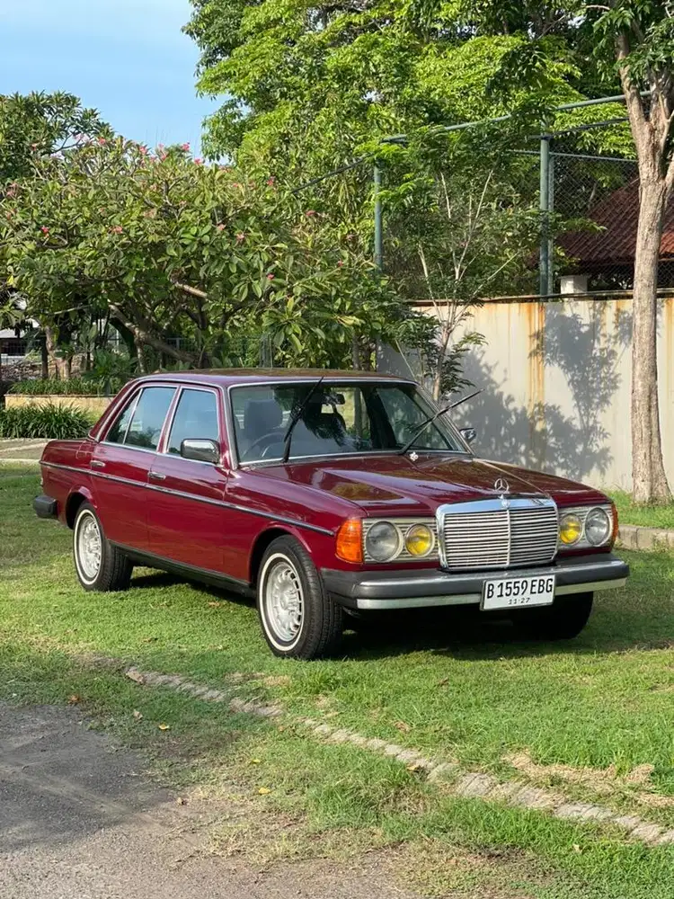 Mercy tiger 200 86 AT