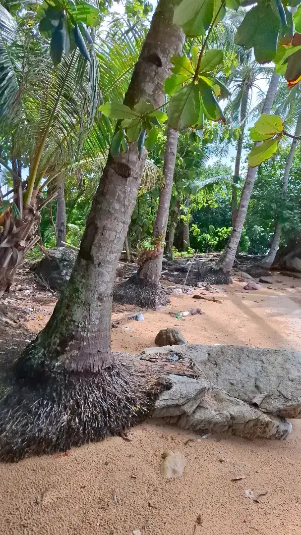 Lahan pantai pribadi, cocok buat villa pribadi