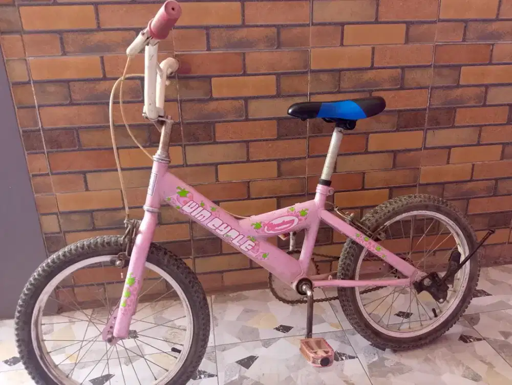 Sepeda Wim Cycle warna Pink