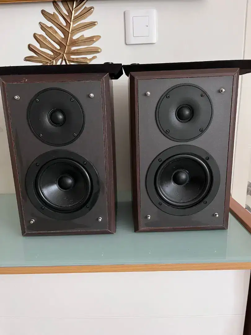 Speaker Denon F10