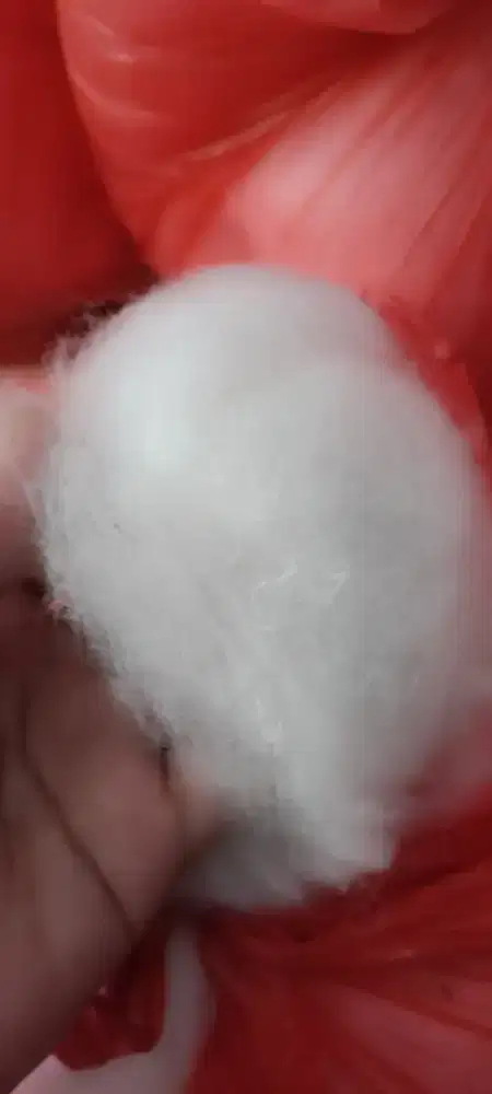 Dakron kapas kiloan kwalitas istimewa dan lembut, kondisi baru di dps