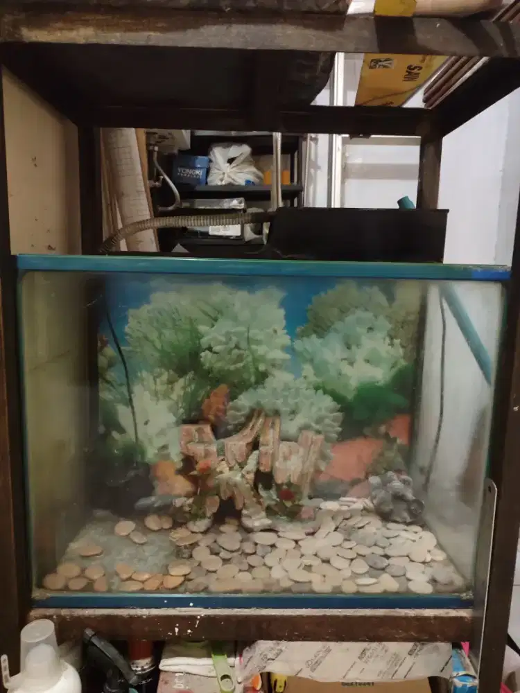 AQUARIUM KACA DENGAN RANGKA BESI 2 SUSUN