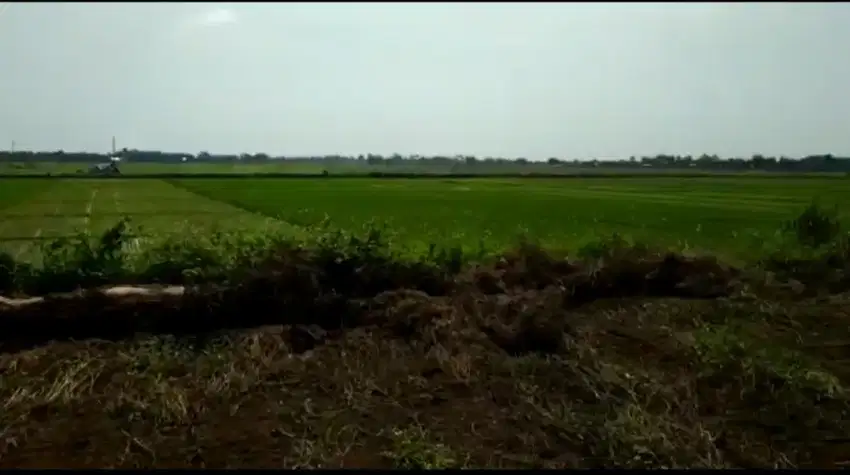 Tanah super luas produktif sangat prospektif untuk usaha dan investasi