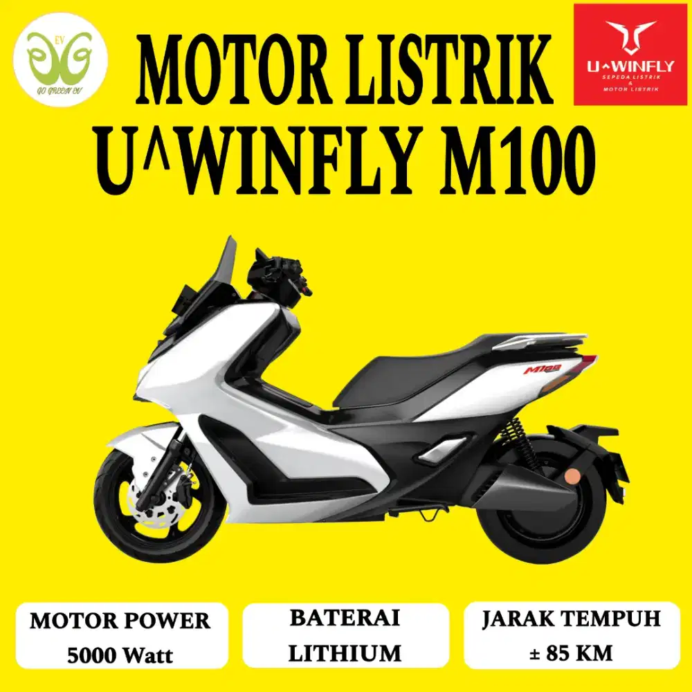 Molis Uwinfly M100