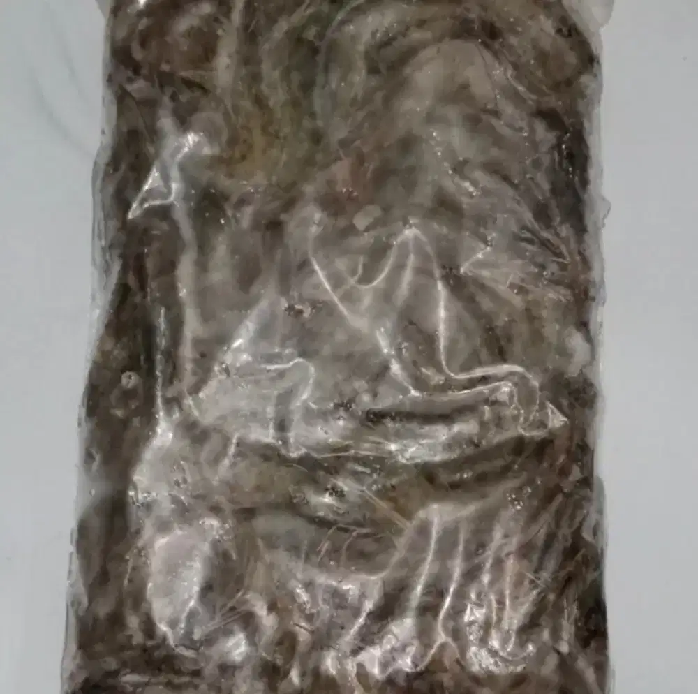 Udang api beku besar 500 gram pakan arwana/konsumsi