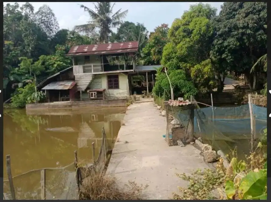 di jual tanah beserta ada kolam ikan