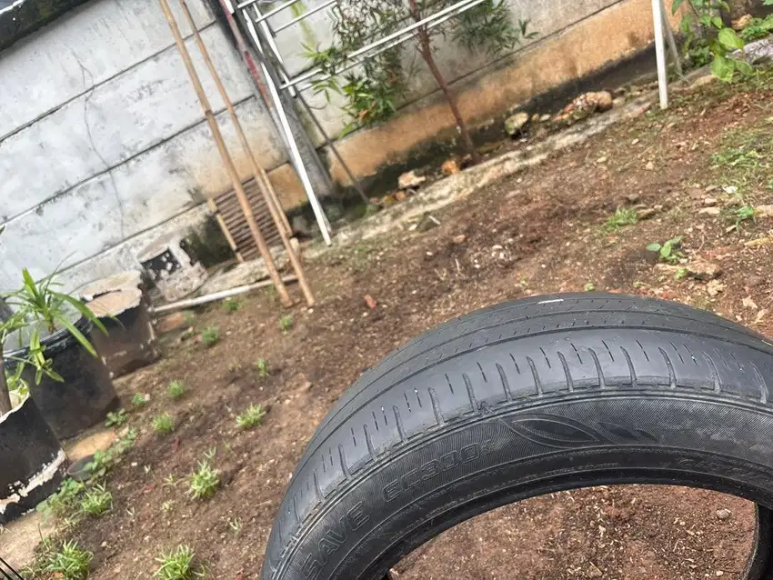 Ban dunlop ring 16