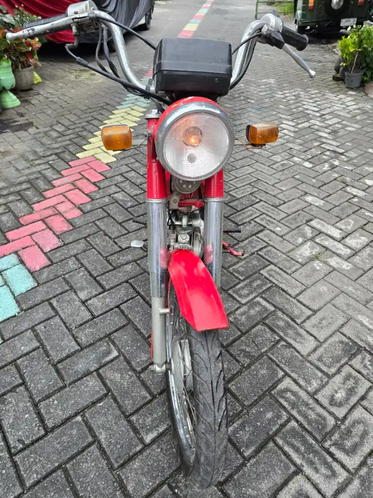 JIALING KANCIL Original