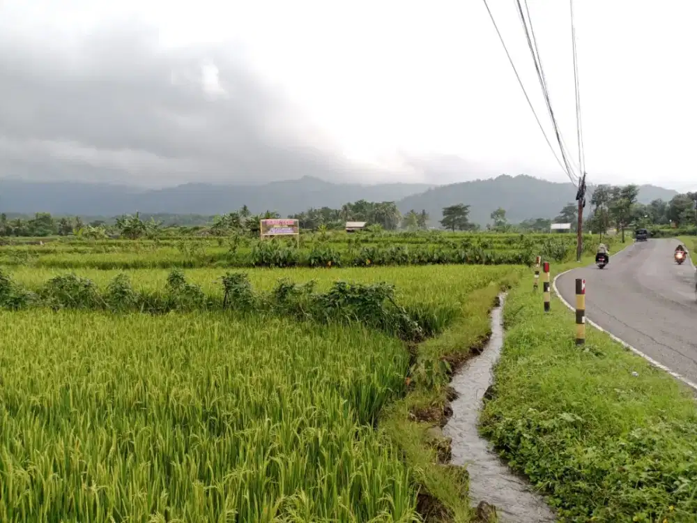 Dijual tanah strategis pinggir jalan raya Pemalang Purwokerto