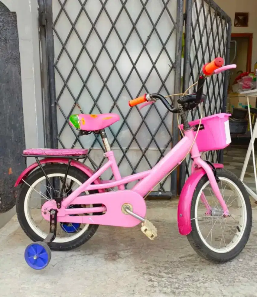 Sepeda Anak Perempuan