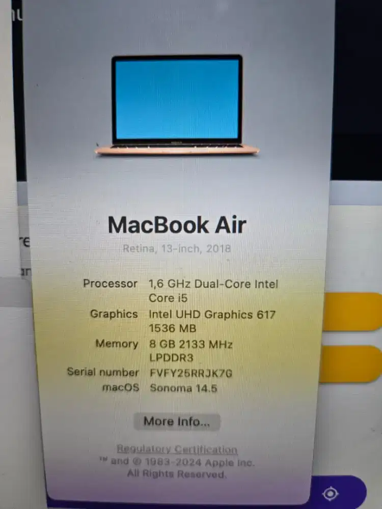 Macbook retina 13inch 2018