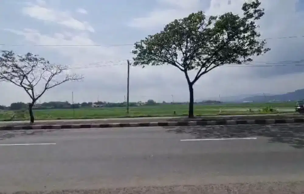Dijual tanah di jalur pantura semarang kendal 4.000m² pinggir jalan
