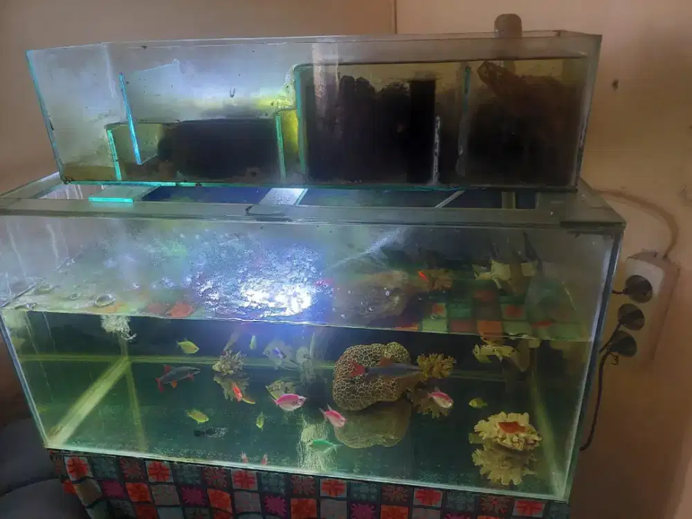 Aquarium full set with filter talang atas