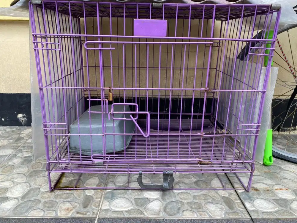 Kandang kucing + pagar