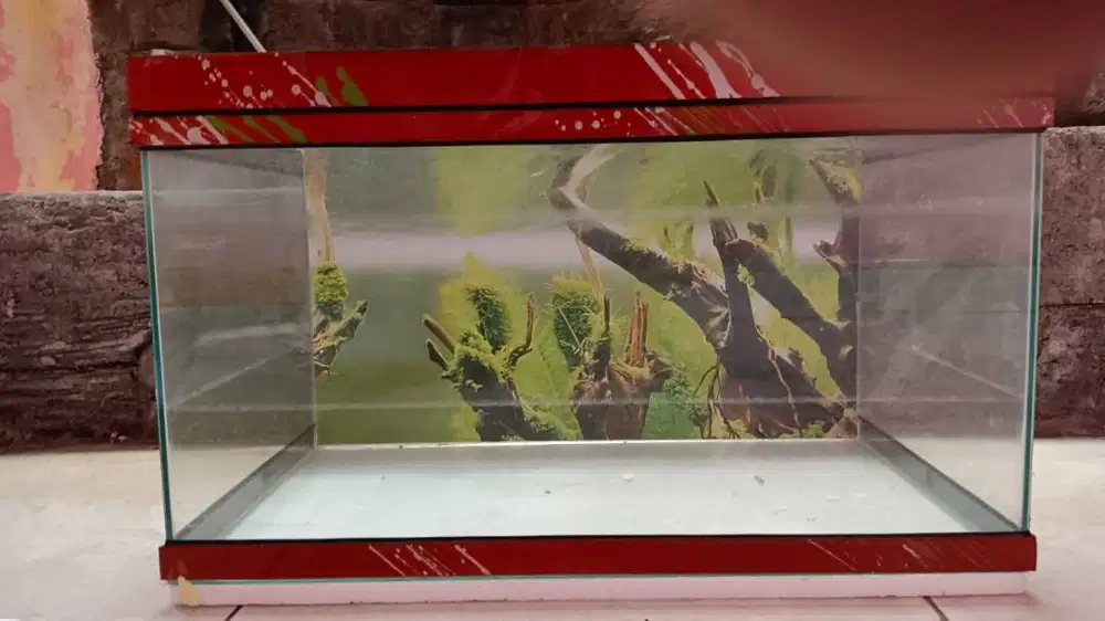 Mini Aquarium Set Komplit