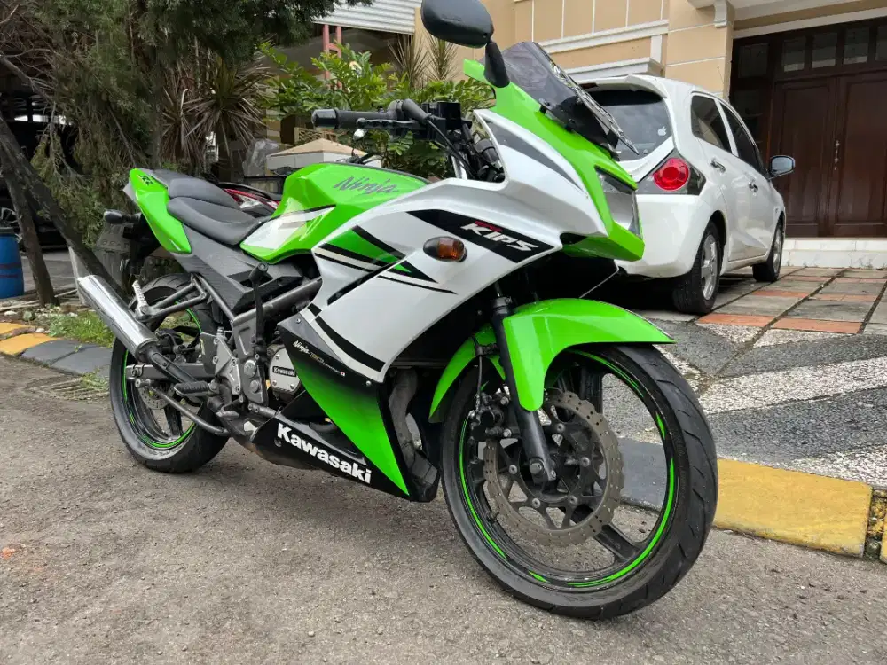 Kawasaki Ninja RR Anniversary