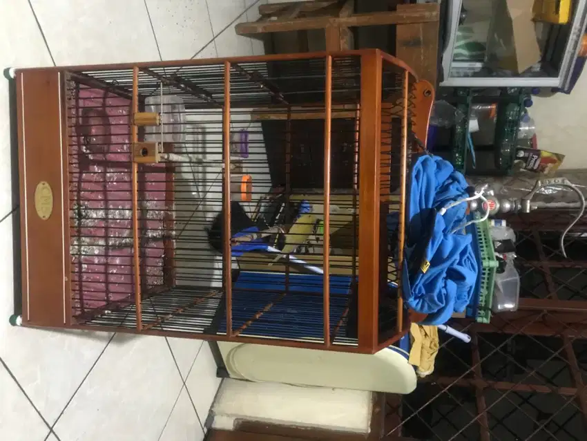 kandang kotak no 2 cms