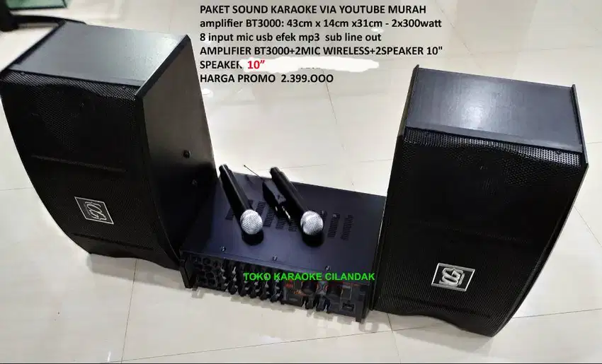 paket sound system speaker 10in