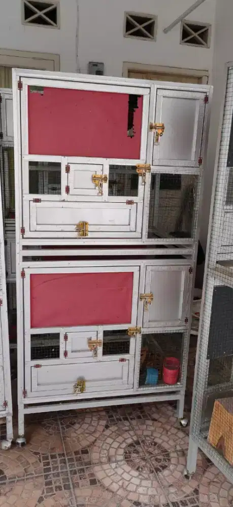Kandang Ternak Burung