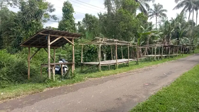 Dijual kebun Rata Cibadak-Nagrak