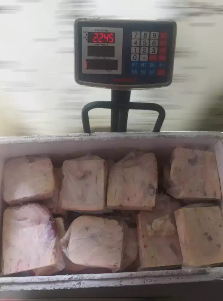 Supplier lemak sapi murah surabaya