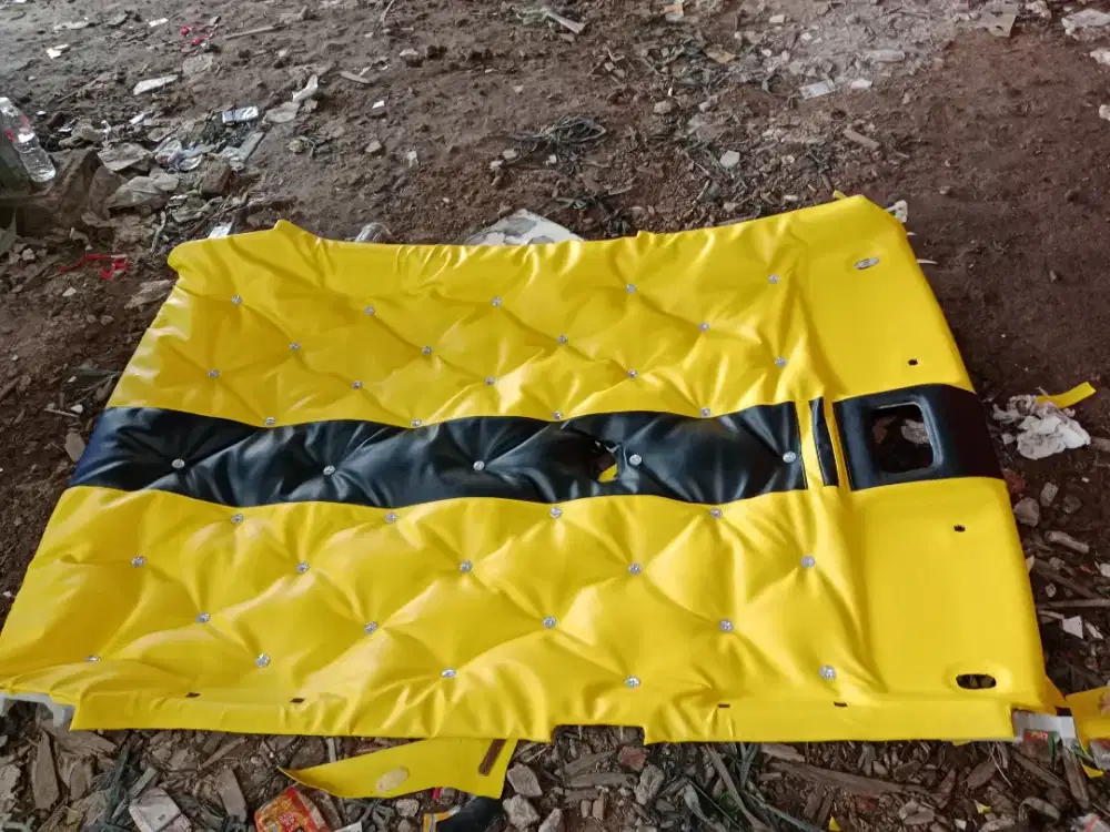 Specialis modifikasi  plafon mobil