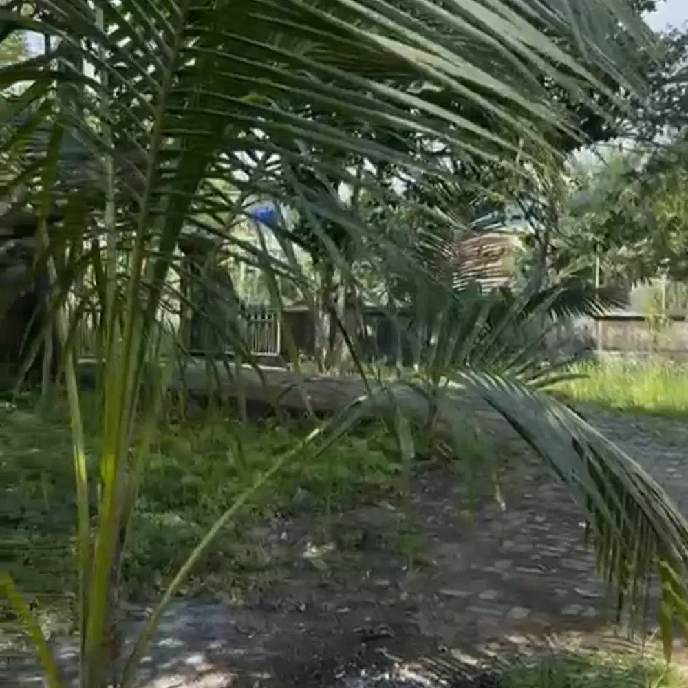 Dijual tanah dekat dengan daerah wisata