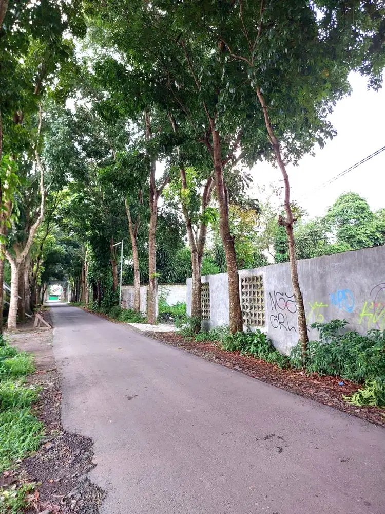 Tanah Kavling Strategis dekat Jalan Sidomoyo