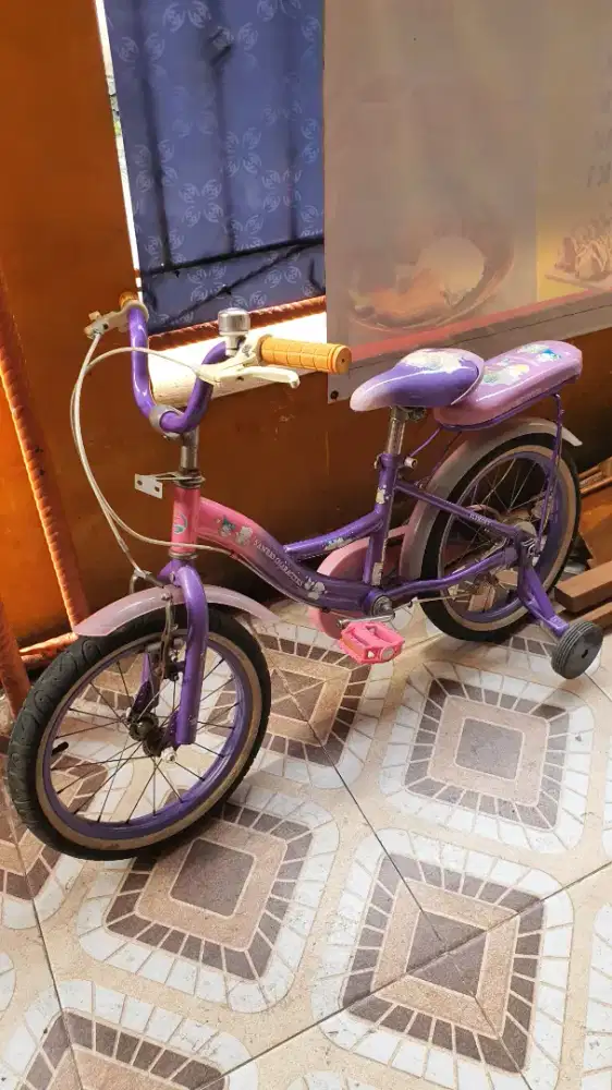 Di Jual Sepeda Anak ring 16