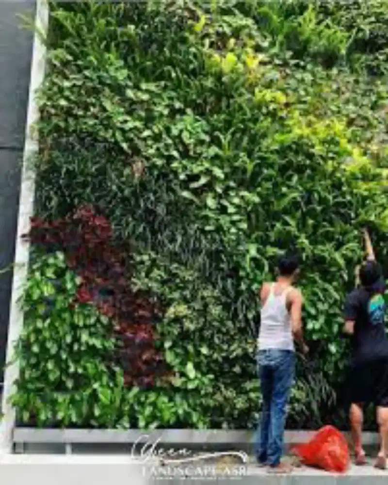 Taman vertikal garden