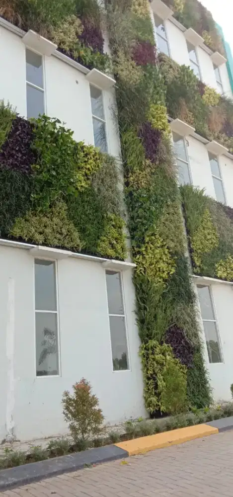 Taman dinding vertikal garden