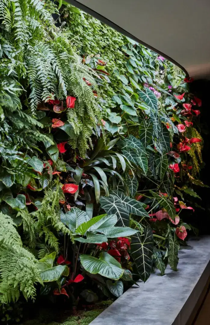 Vertical garden cocok untuk rumah dan kantor