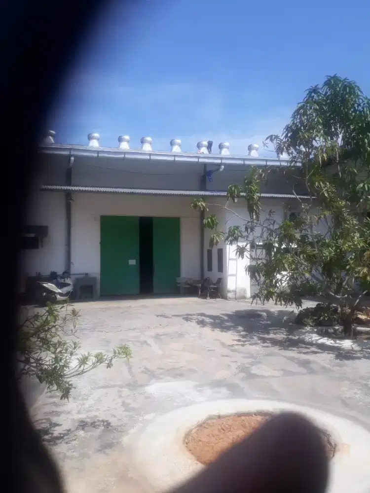 Proven Ventilator turbin