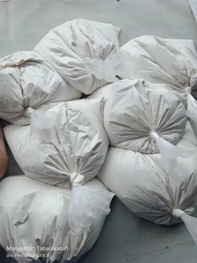 Cat kiloan warna putih