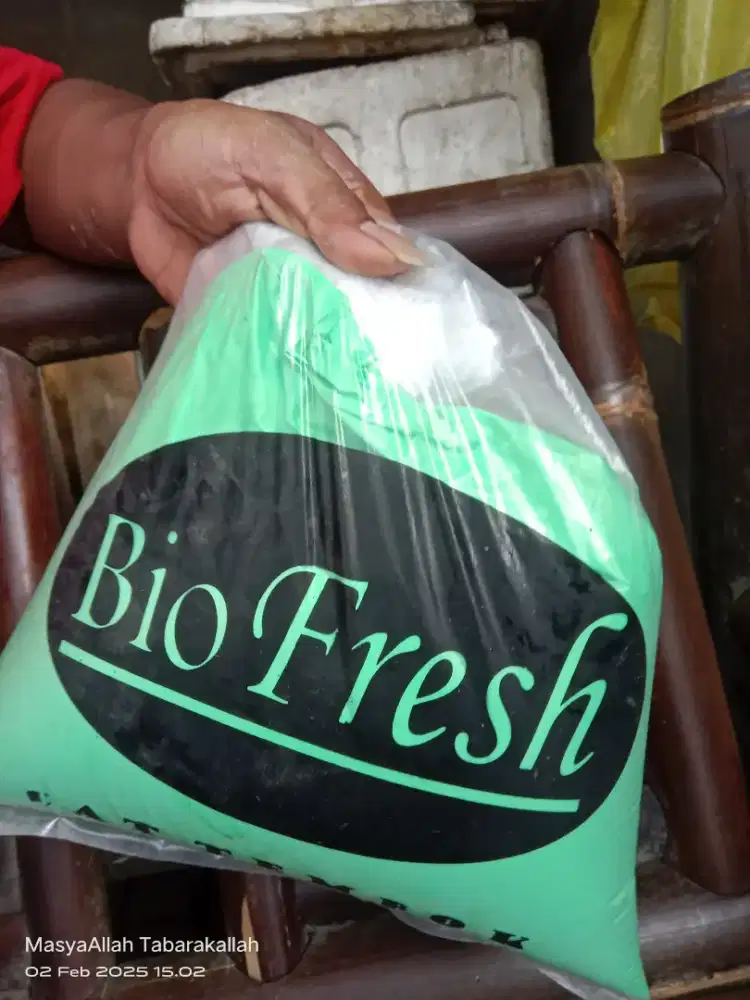 Cat kiloan hijau tosca 5kg