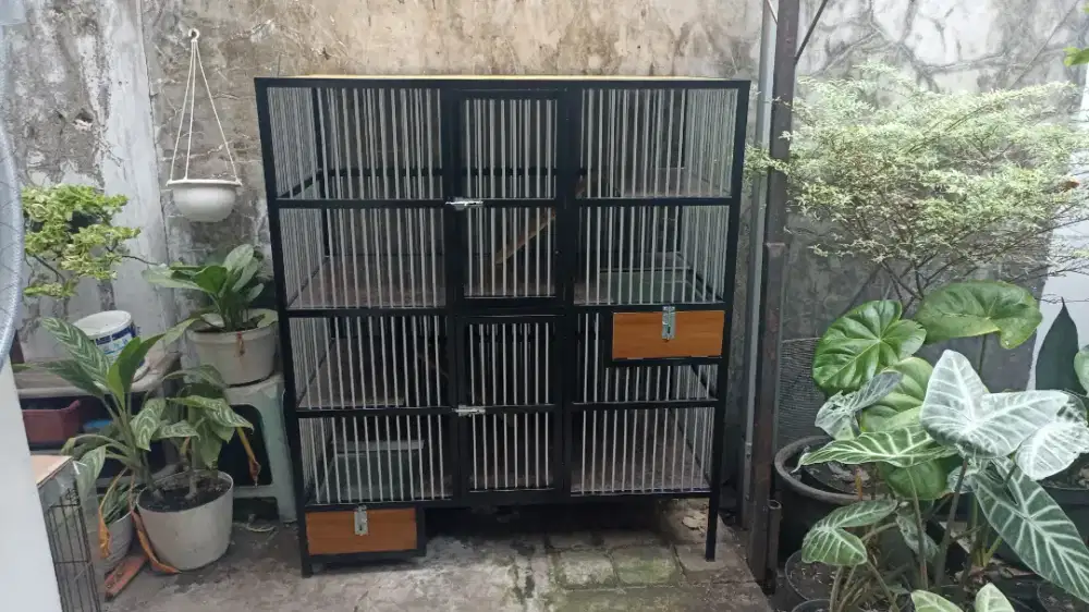 Kandang Kucing Istimewa