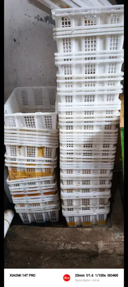 Keranjang buah keranjang paket burung