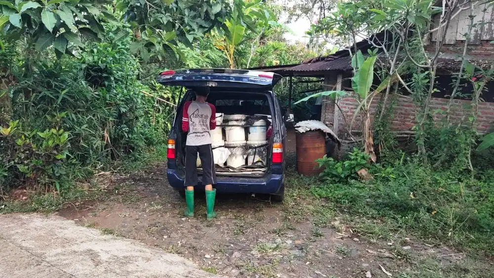 JOMBANG WONOSALAM DIJUAL CEPAT TANAH UNTUK PERKEBUNAN / PETERNAKAN